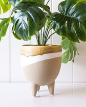 Load image into Gallery viewer, Ola Planters
